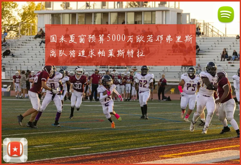 国米夏窗预算5000万欧若邓弗里斯离队将追求帕莱斯特拉