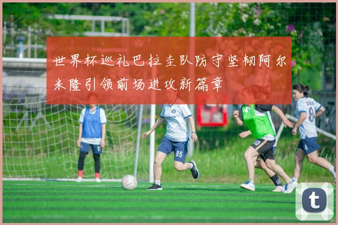 世界杯巡礼巴拉圭队防守坚韧阿尔米隆引领前场进攻新篇章