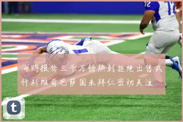 海鸥报价三千万镑热刺拒绝出售武什科维奇巴萨国米拜仁密切关注